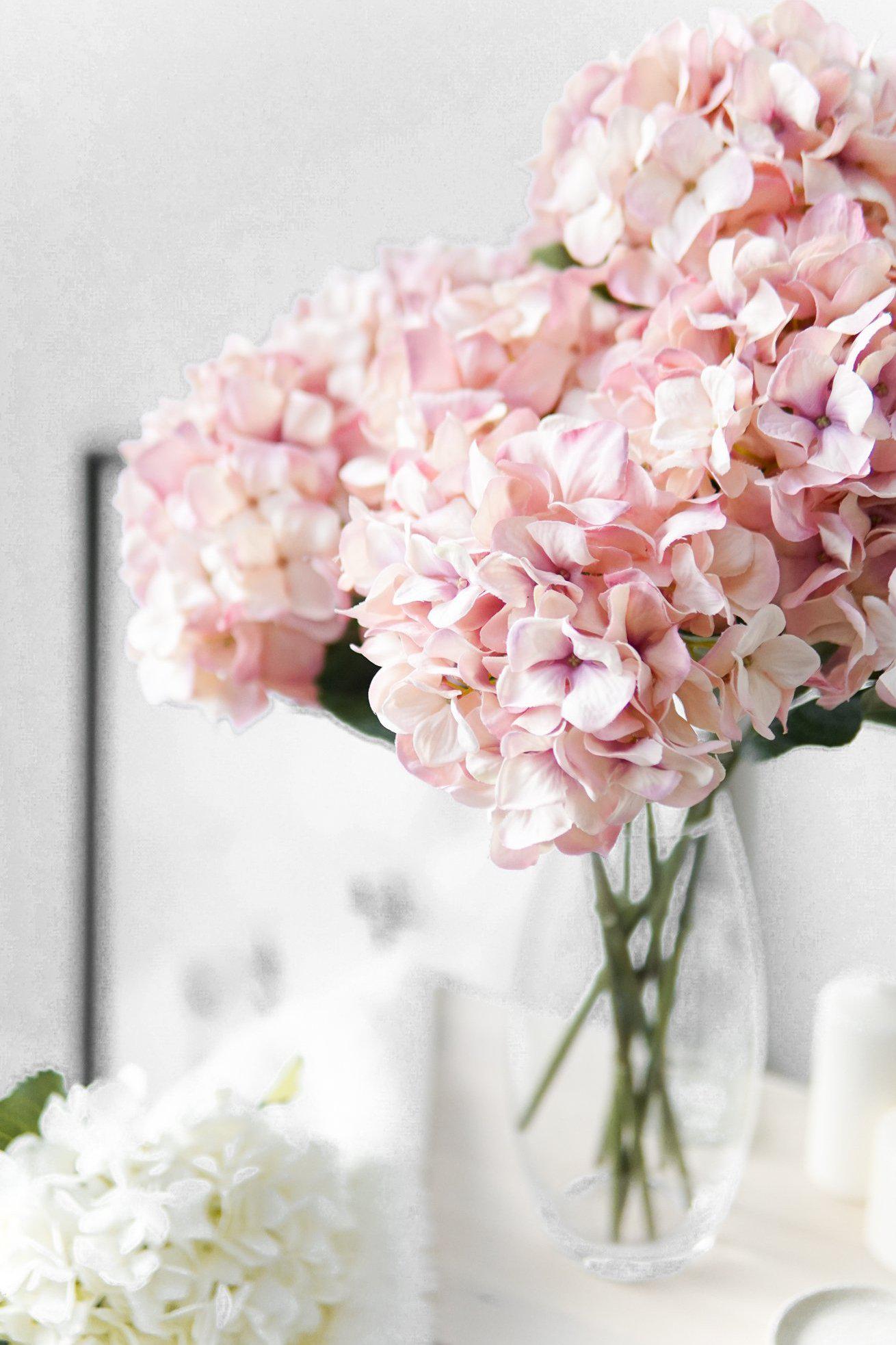 Beautiful Dried Hydrangeas In Big Transparent Glass Vase On Pink